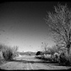 The Road