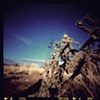 BLM Land