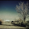 The Road (Vintage)