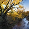 Jemez River in Fall