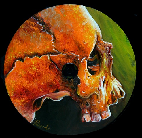 compact skull