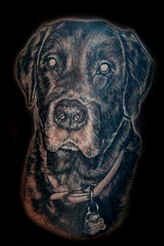 bosco