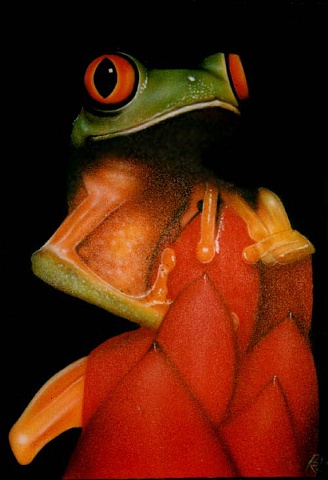 tree frog