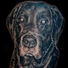 bosco