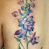 floral