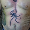 a lil black widow