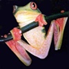 frog