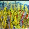 Red Ferns