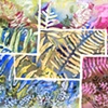 Ferns Gone Wild