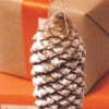 Biodegradeable Holiday Ornament