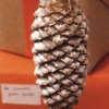 Biodegradeable Holiday Ornament