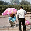 Delhi Belly