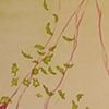 fifteen