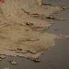 and then I crumbled