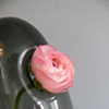 Arch Vases in use