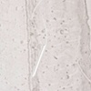 Untitled 2 detail