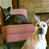 Almond, Raisin, & Winston