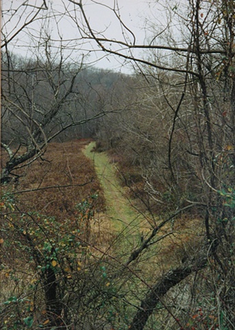 Horse Trail