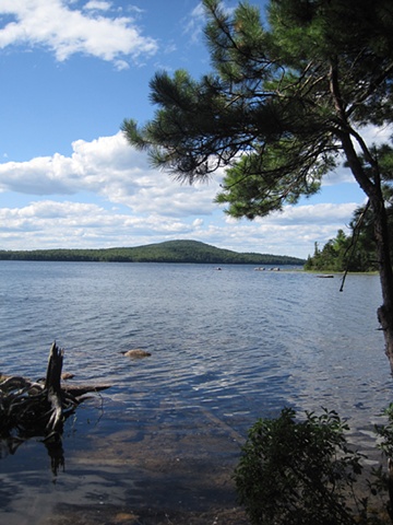Bar Harbor