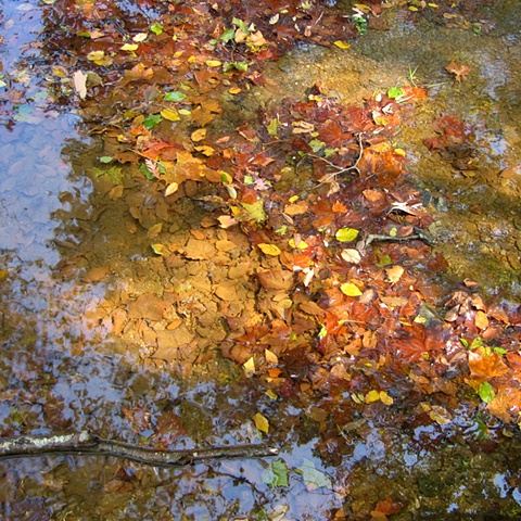Fall at Gunpowder Falls