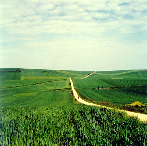 Golden Road