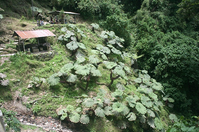 Fuentes Georginas, Guatemala