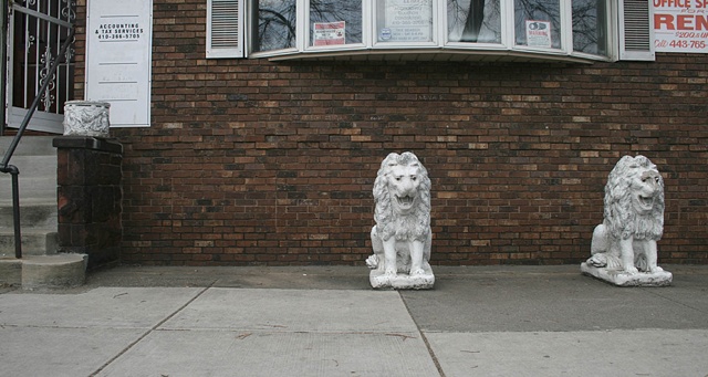 Lions