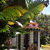 Birdhouse at Bonnet House