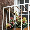 Flower Box
