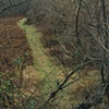Horse Trail