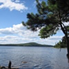 Bar Harbor