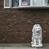 Lions