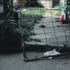 Alley Gate