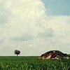 Dos Monticulos y un Arbol