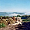 Mountain Farm