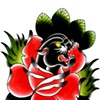 panther rose