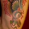 Snake & wing