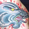 Rat head