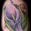 Lily
