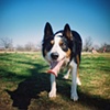 Lomography