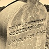 Polonia Cemetery