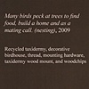 nesting (detail of title card)