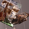 "nesting" (detail)
