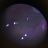 "1:30 am. July 20th 1969 (1:1 ratio)" (detail)