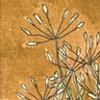 Botanical 1