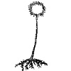 Wildroot Salon

Logo with botanical illustration on store front window 

Botanical illustration also used on collateral materials and on tall banners hung from the ceiling of the salon in North Portland.

Freelance logo design for Meaty Design