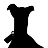 Dog illustration