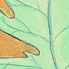 Botanical 2
