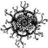 Flower with roots