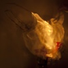 Soul Journey Painting with light